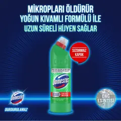 DOMESTOS 750 ML