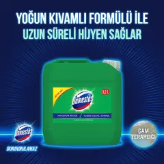 DOMESTOS 3.2 LT